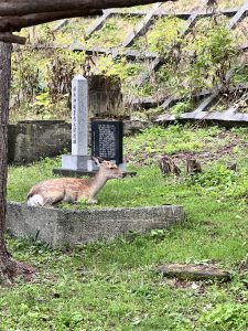 稚內北門神社